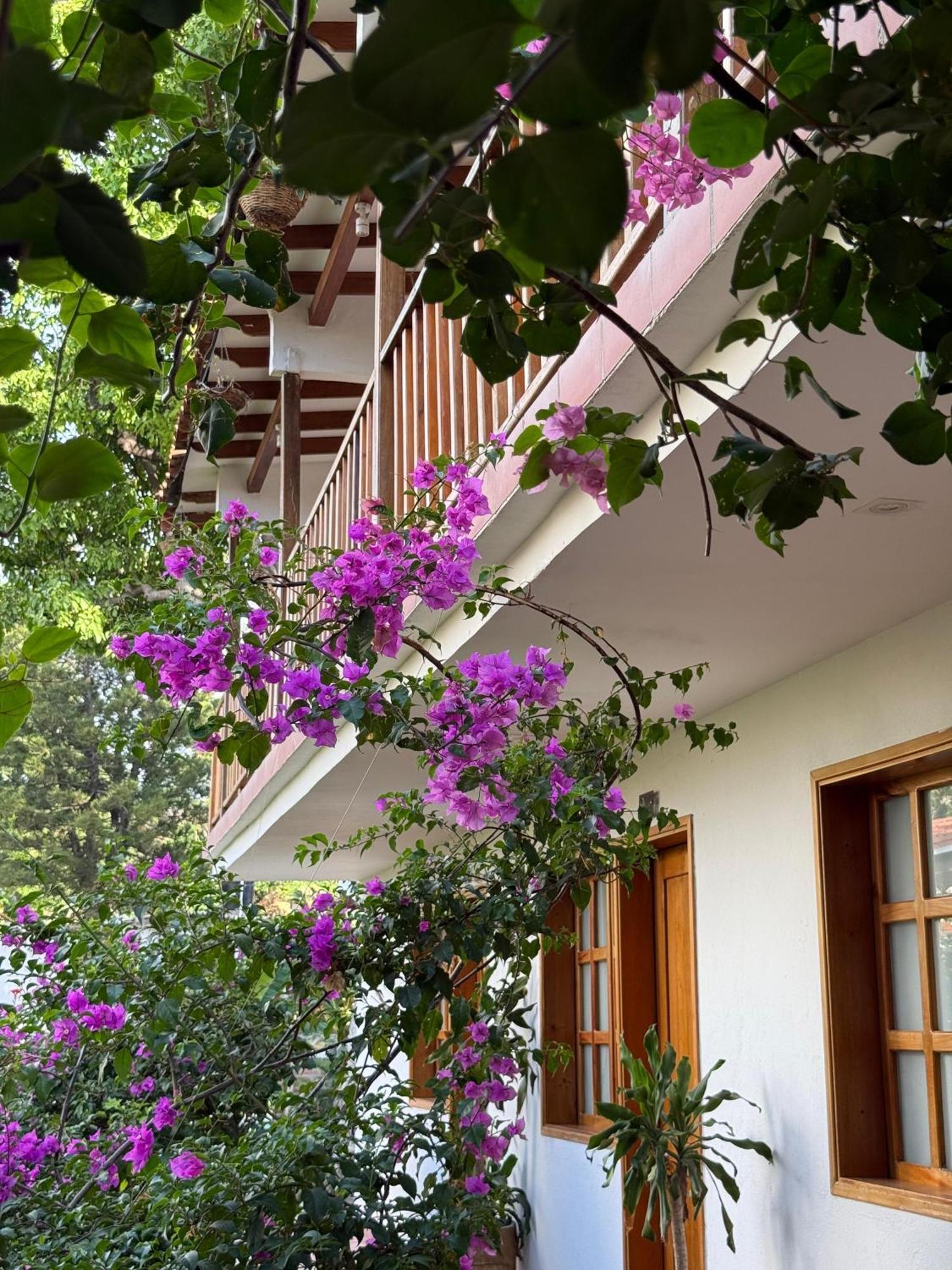 Hotel Jardin Boutique Rodadero Санта-Марта Екстер'єр фото